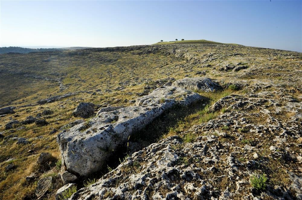 A long stone pillar lying in rocky ground on a hilltop